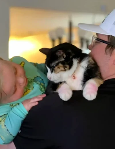 A man holds a baby and a calico cat over his shoulder, with the baby and cat looking at each other curiously.