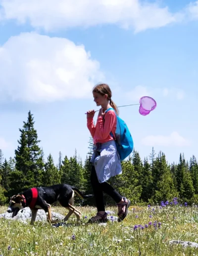 A girl walks through a field of wildflowers with a dog, holding a pink butterfly net over her shoulder, with trees and a blue sky in the background.