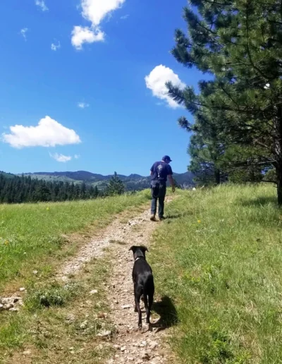 A person walks ahead on a dirt path surrounded by green grass and pine trees, while a black dog follows closely behind on a bright, sunny day with blue skies and white clouds.