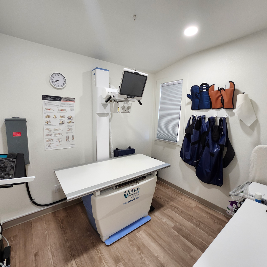 hospital tour - 3